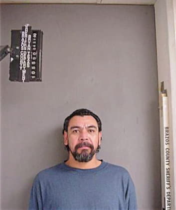 Rodriquez Ramiro - Brazos County, TX 