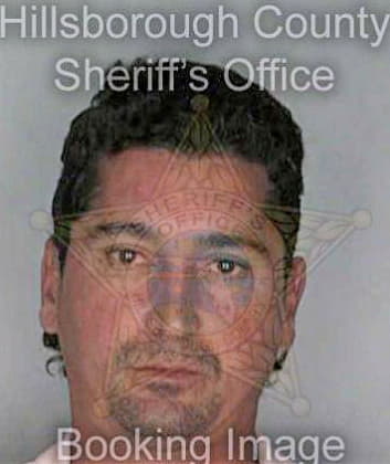 Mendez Angel - Hillsborough County, FL 