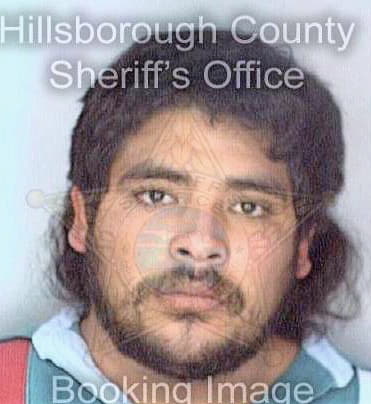 Perez Ricardo - Hillsborough County, FL 