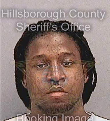 Pierre Vladislav - Hillsborough County, FL 