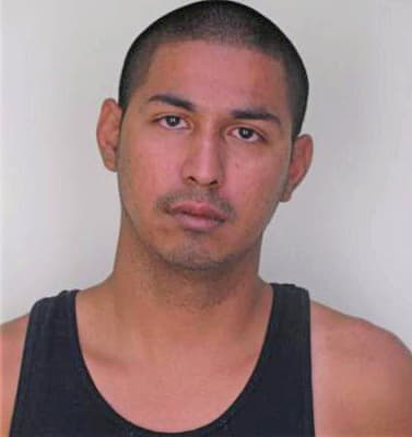 Gonzalez Armando - Hillsborough County, FL 