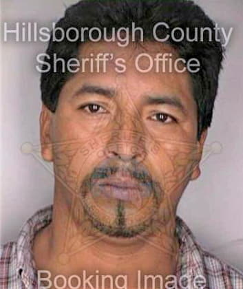 Velequez Herminio - Hillsborough County, FL 