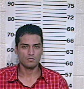 Alaniz Adan - Hidalgo County, TX 