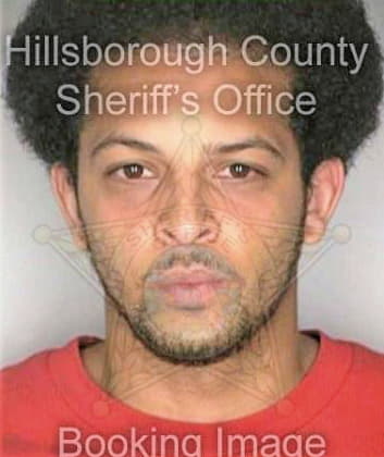 Gonzalez Waldemar - Hillsborough County, FL 