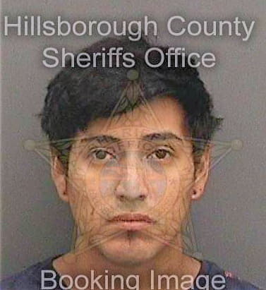 Guevara Marco - Hillsborough County, FL 