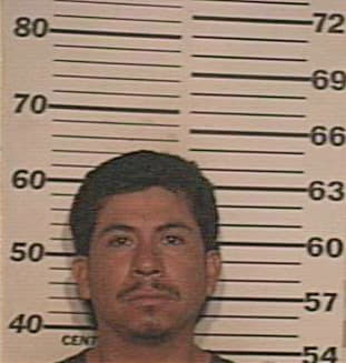 Molina David - Hidalgo County, TX 