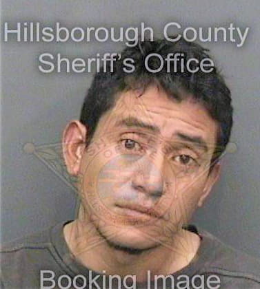 Miguel Samuel - Hillsborough County, FL 