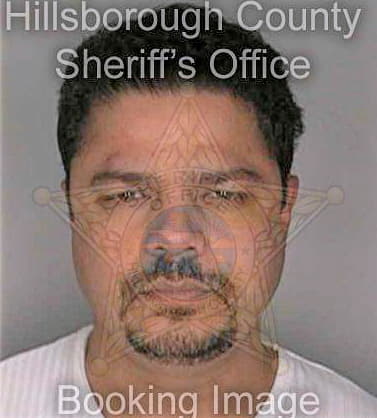 Delgado Felix - Hillsborough County, FL 