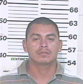 Hernandez Jaime - Hidalgo County, TX 