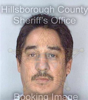Meza Daniel - Hillsborough County, FL 