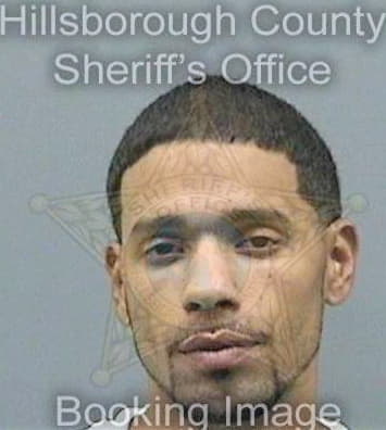 Boffil Anthony - Hillsborough County, FL 