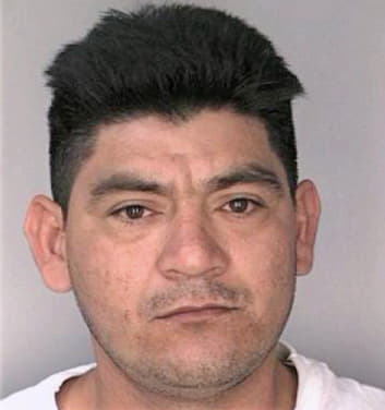 Bonilla Carlos - Hillsborough County, FL 