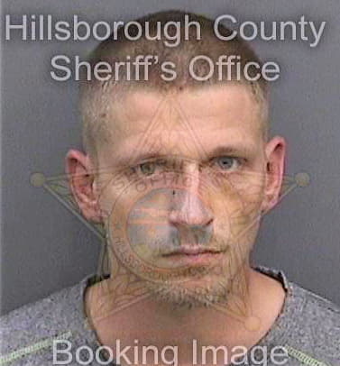 Michel David - Hillsborough County, FL 