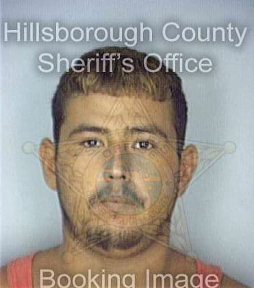 Guerra Jose - Hillsborough County, FL 