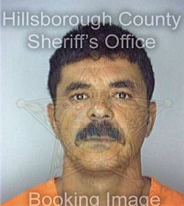 Gustavo Bridon - Hillsborough County, FL 