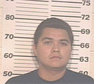 Garcia Eric - Hidalgo County, TX 