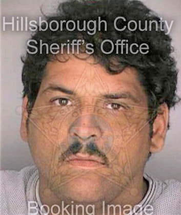 Deltoro Evelio - Hillsborough County, FL 