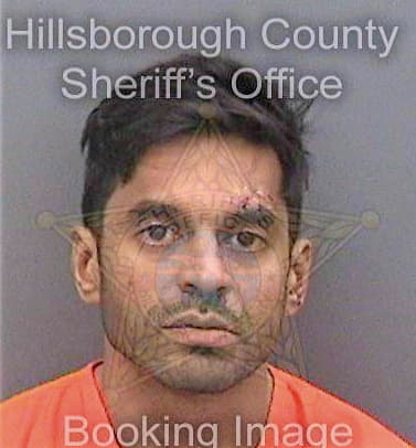 Shirazi Hasan - Hillsborough County, FL 