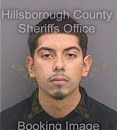 Gomez Ismael - Hillsborough County, FL 