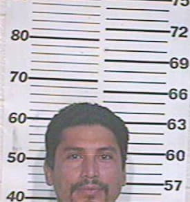 Ramirez-Sandoval Jesus - Hidalgo County, TX 