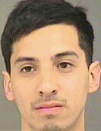 Silva Erick - Mecklenburg County, NC 