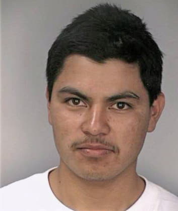 Silva Elizar - Hillsborough County, FL 