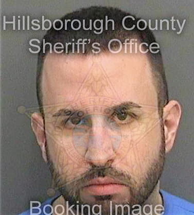 Mcwilliams Stephen - Hillsborough County, FL 