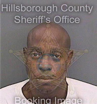 Nelson David - Hillsborough County, FL 