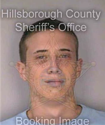 Braat Raymond - Hillsborough County, FL 