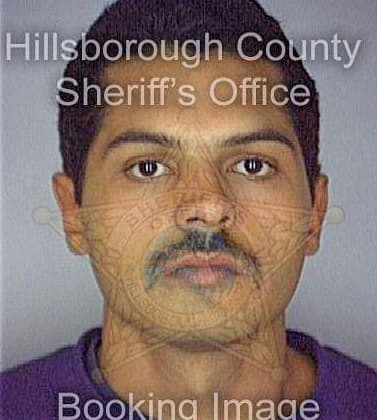 Hernandez Santos - Hillsborough County, FL 