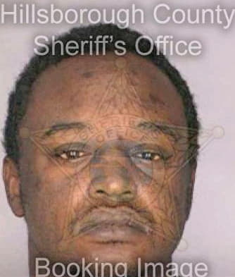 Mcduffie Michael - Hillsborough County, FL 