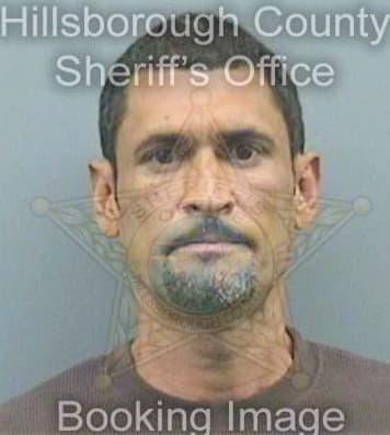 Hernandezortiz Juan - Hillsborough County, FL 