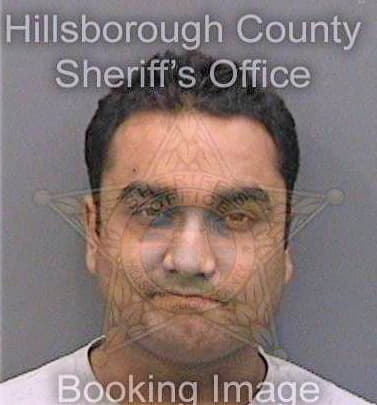 Raj Mayank - Hillsborough County, FL 