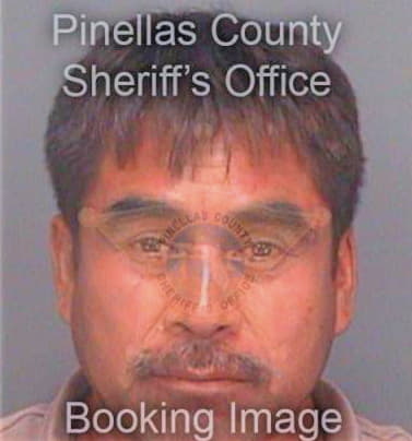 Pedraza Juan - Pinellas County, FL 