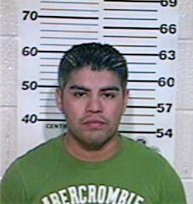 Hernandez Victor - Hidalgo County, TX 