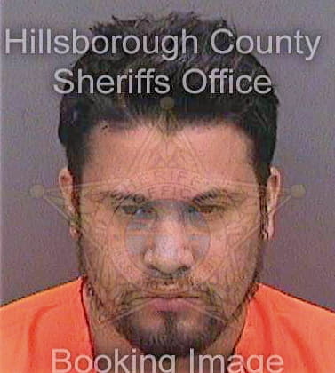 Silvasachez Manuel - Hillsborough County, FL 