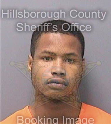 Everett Ernest - Hillsborough County, FL 