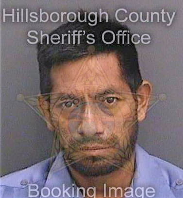 Shilonsantiz Manuel - Hillsborough County, FL 