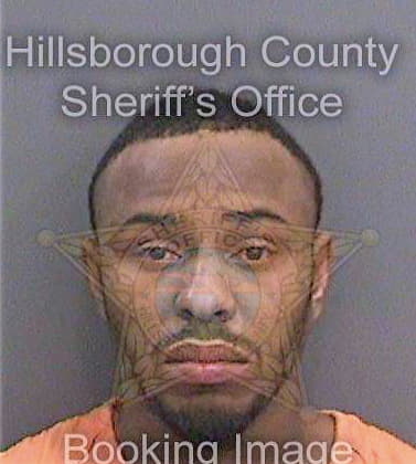 Simpson Gerrod - Hillsborough County, FL 
