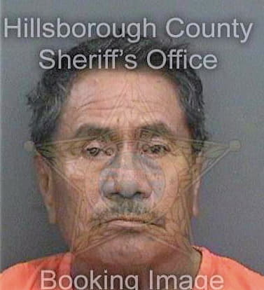 Ramirezcamacho Roberto - Hillsborough County, FL 