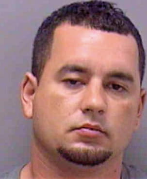 Sanchez Yunior - Lee County, FL 