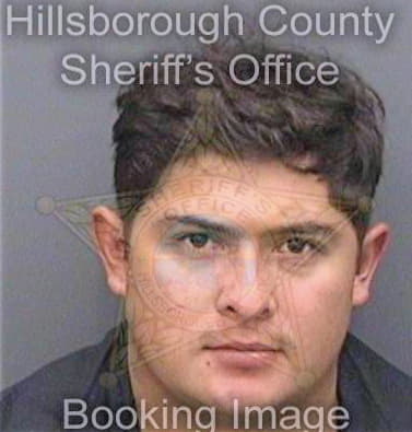 Poncepalma Osman - Hillsborough County, FL 