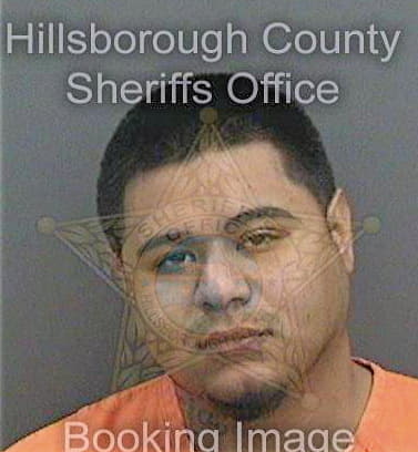 Figueroa Jose - Hillsborough County, FL 