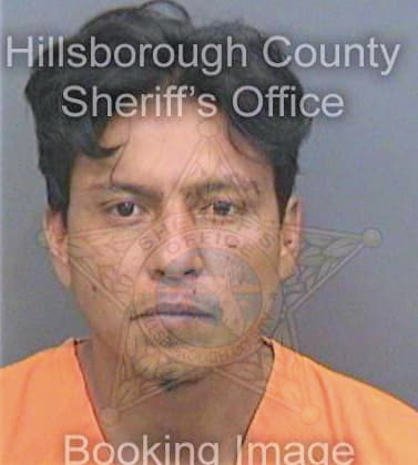 Gomezbenitez Jose - Hillsborough County, FL 