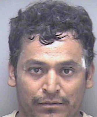 Arrendondo Miguel - Lee County, FL 