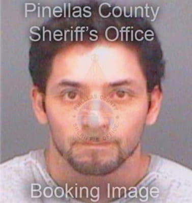 Cortes Luis - Pinellas County, FL 