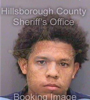 Diaz Bolivar - Hillsborough County, FL 