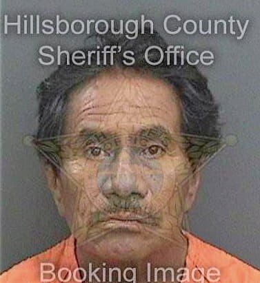 Ramirezcamacho Roberto - Hillsborough County, FL 