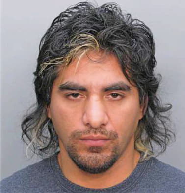 Estopinan Ariel - Dade County, FL 