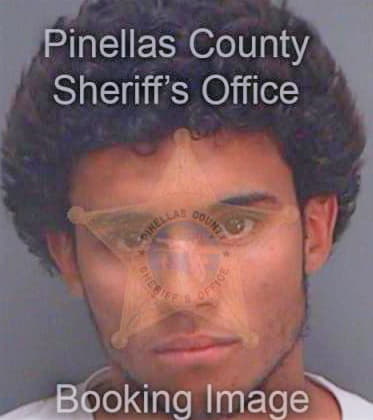 Nelson Christopher - Pinellas County, FL 